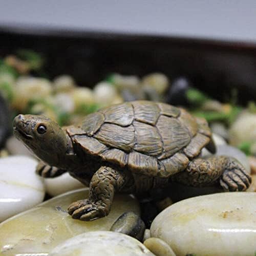 Dwie małe żółwie do dekoru