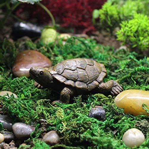 Dwie małe żółwie do dekoru